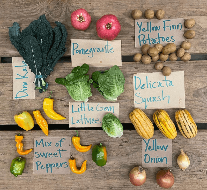 Riverdog Farm CSA Weekly Farm Boxes